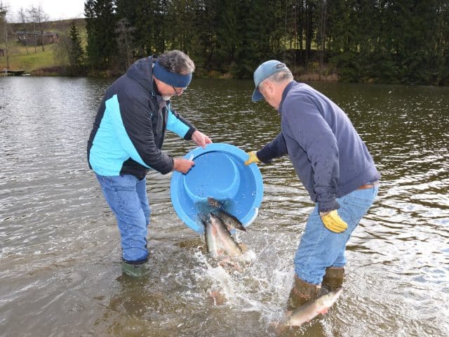 Fischen-am-Muehlner-See