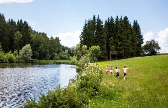 Moos-Wiesen-Wald-See-Runde-Badesee_c_CampingamBadesee-TomLamm