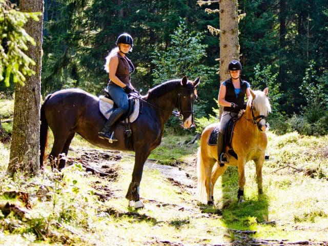 Reiten in Mühlen, Foto: Schilcherhof