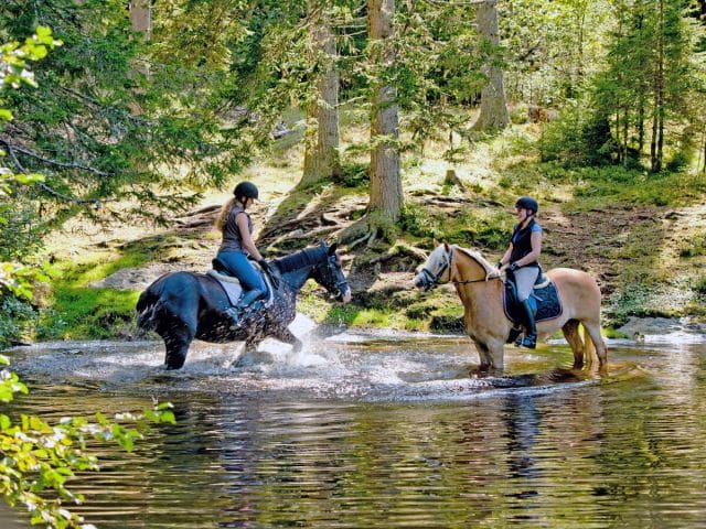 Reiten in Mühlen, Foto: Schilcherhof